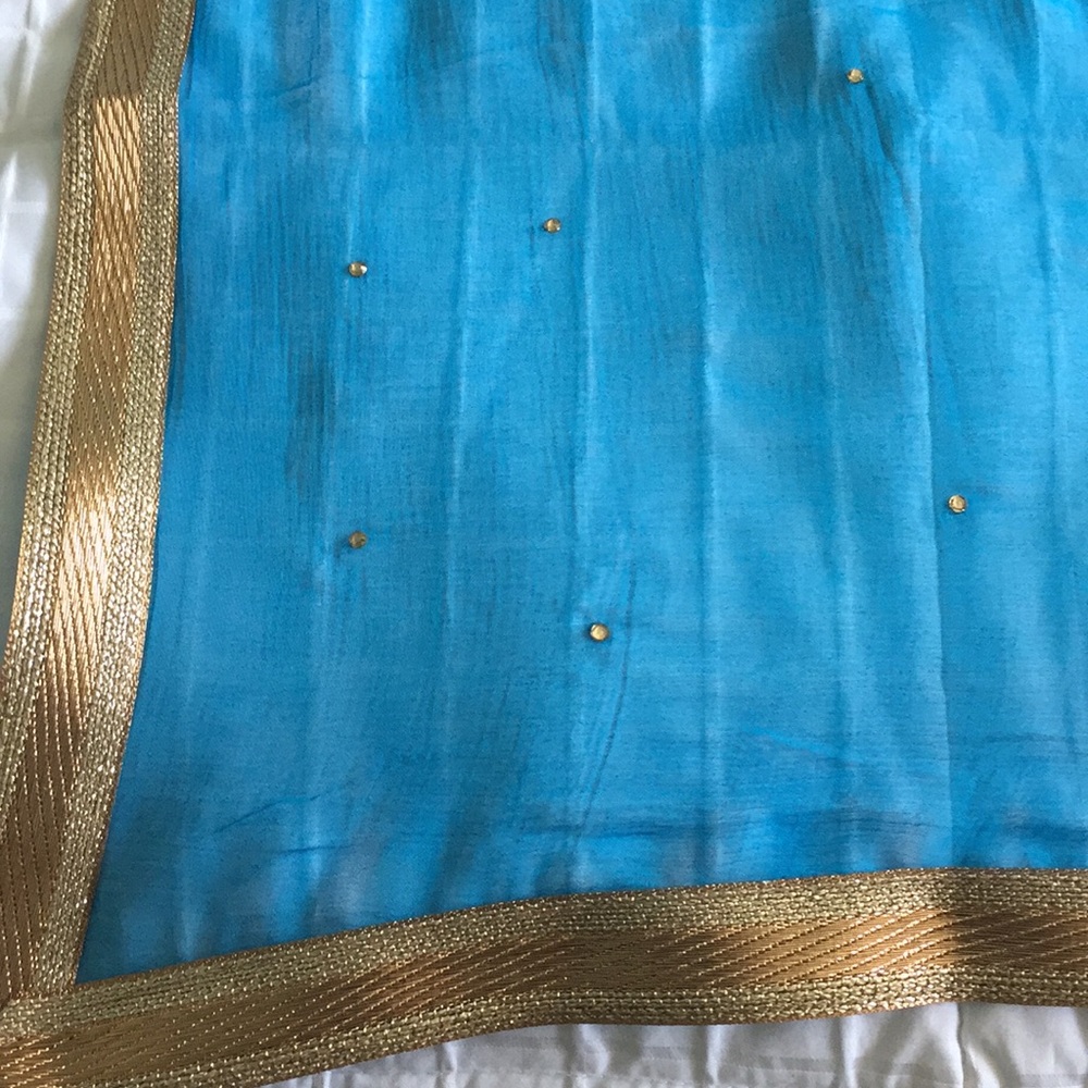 Sky Blue & Gold Indian Punjabi Salwar Kameez - Picture 6 of 6